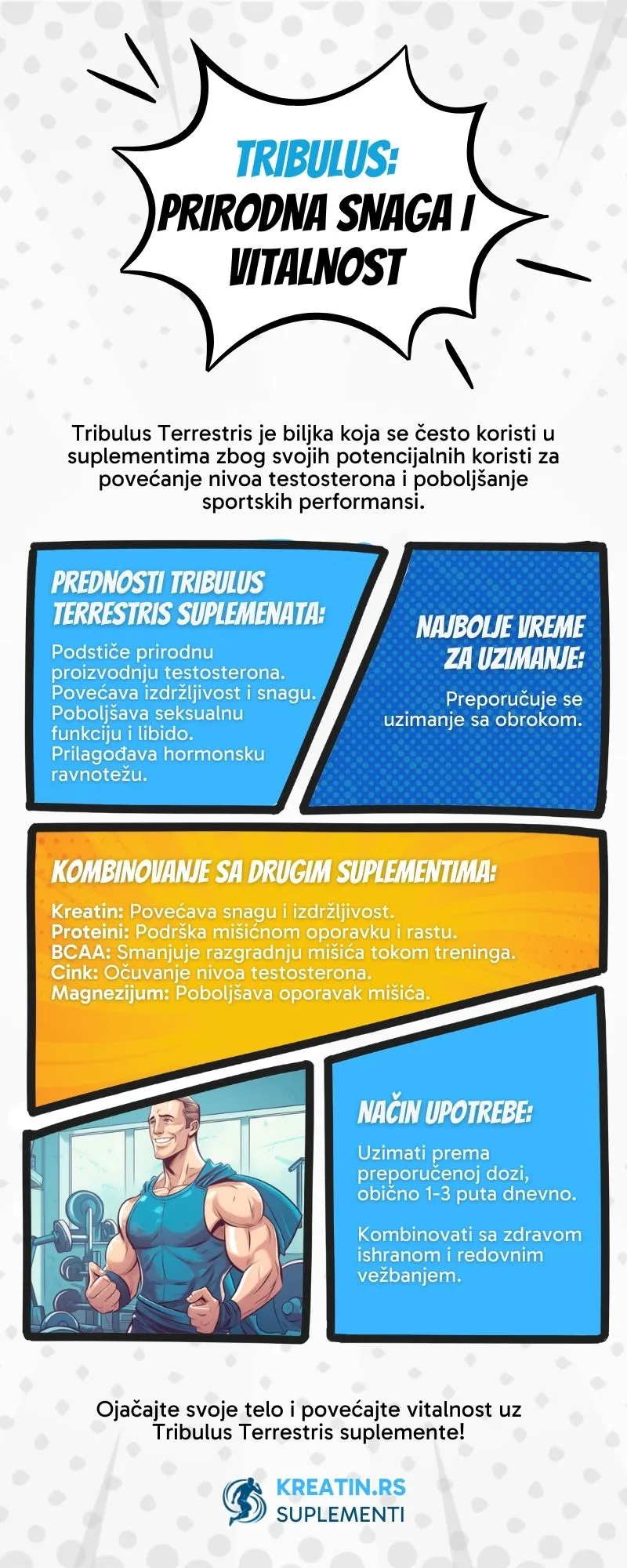 Tribulus - Infografika