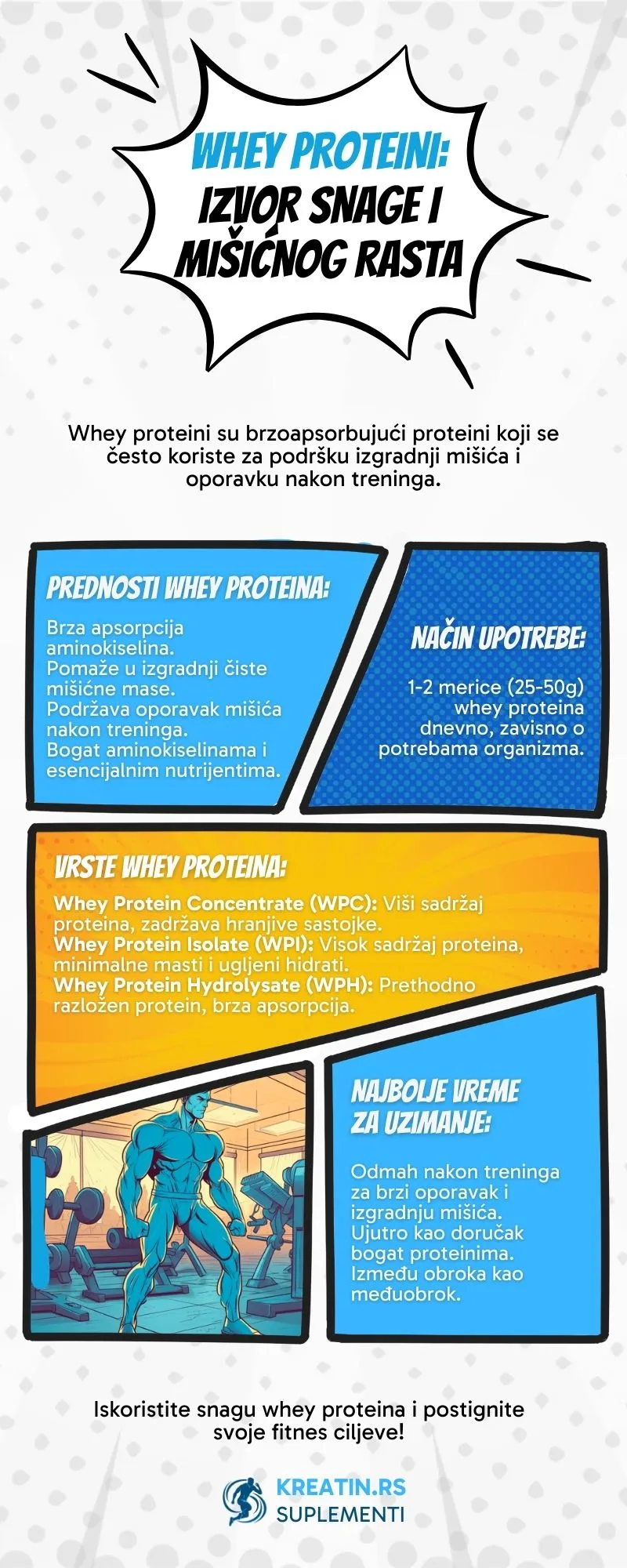 Whey Protein - Infografika